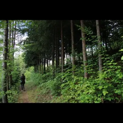 IMG_4452_Kopiraj IMG_4452_Kopiraj