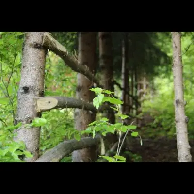 IMG_4453_Kopiraj IMG_4453_Kopiraj