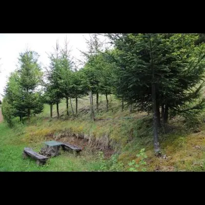 IMG_4458_Kopiraj IMG_4458_Kopiraj