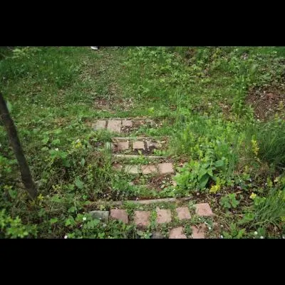 IMG_4459_Kopiraj IMG_4459_Kopiraj