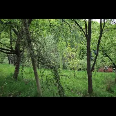 IMG_4461_Kopiraj IMG_4461_Kopiraj