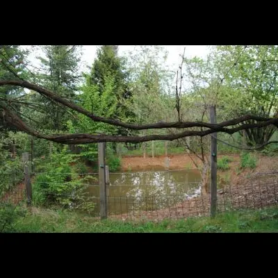 IMG_4463_Kopiraj IMG_4463_Kopiraj