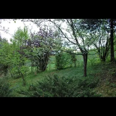 IMG_4467_Kopiraj IMG_4467_Kopiraj