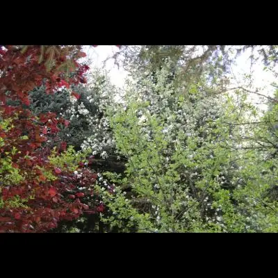 IMG_4469_Kopiraj IMG_4469_Kopiraj