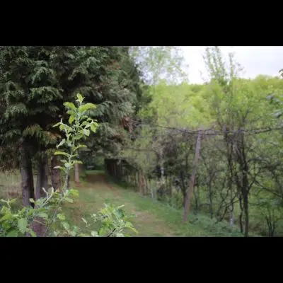 IMG_4472_Kopiraj IMG_4472_Kopiraj